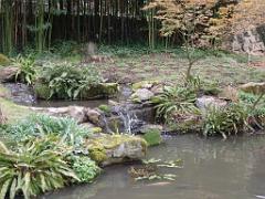 149 PARC ORIENTAL DE MAULEVIER MAINE ET LOIRE 2016 N1_000016